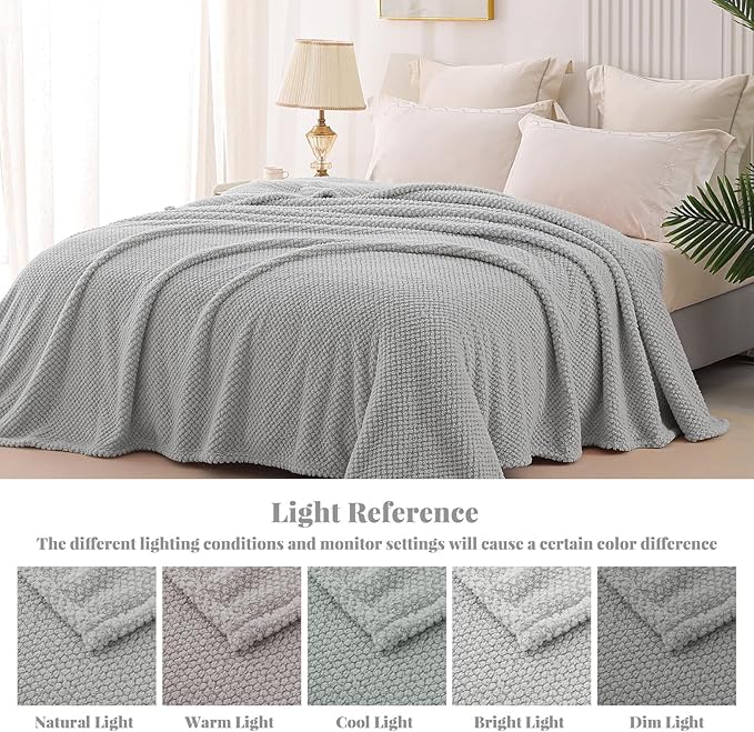 Whale Flotilla Queen Size Fuzzy Fleece Blanket for Bed, 90x90 Inch Fluffy Warm Soft Jacquard Blankets for All Season, Lightweight and Cozy, Light Grey