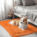 OLANLY 2x3 Machine Washable Small Bedside Rug, Soft Fluffy Shaggy Entryway Throw Rugs for Bedroom, Living Room, Indoor Floor Carpet for Kids Girls and Boys, Nursery Rooms, Home Decor Aesthetic, Orange