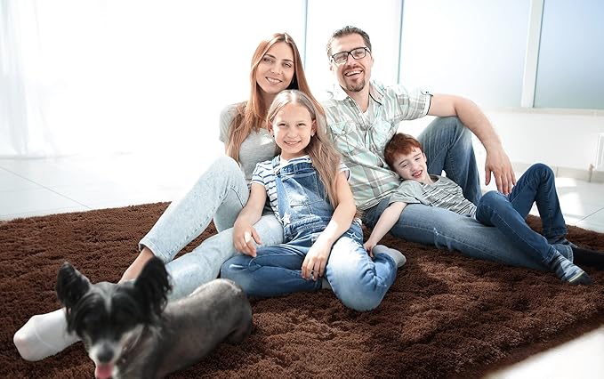 LOCHAS Ultra Soft Indoor Modern Area Rugs Fluffy Living Room Carpets for Children Bedroom Home Decor Nursery Rug 3x5 Feet, Brown