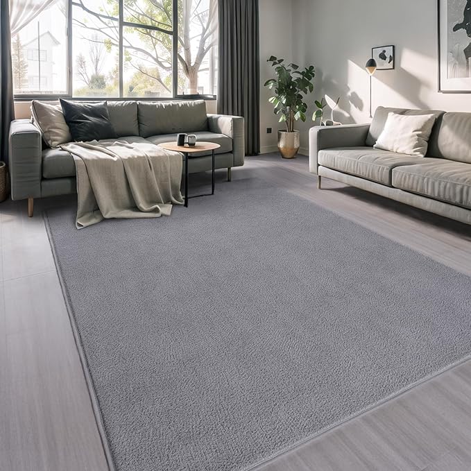 AROGAN 4x6 Feet Shag Area Rugs for Bedroom, Modern Washable Rugs for Living Room, Indoor Floor Carpet, Plush Memory Foam Bedside Rugs for Kids Girls Teens Room Low Pile Rug Decor, Grey