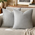 GIGIZAZA Silver Grey Velvet Pillow Covers 18x18 Pack of 2 Square Throw Pillow Covers Modern Decorative Pillows for Living Room Couch Luxury Small Pillow Cases