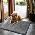 2x3 Fluffy Area Rugs for Bedroom Living Room,Small Soft Shag Fuzzy Rug Non-Shedding Indoor Plush Carpet for Kids Bedroom Nursery Dorm Home Decor,Deep Grey