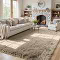 5x8 Area Rugs for Living Room: Soft Fluffy Shag Gray Camel Rugs for Bedroom, Non Slip Large Fuzzy Plush Rug Indoor Floor Carpet for Nursery Kids Boys Girls Room, Dorms, Playroom, Modern Home Decor