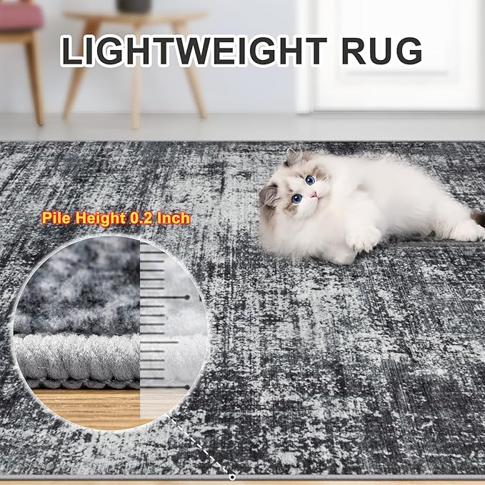 Area Rugs Living Room Rug - 4x6 Washable Modern Abstract Soft Neutral Non-Slip Carpet Large Indoor Floor Thin Carpets for Bedroom Dining Room Farmhouse Nursery Home Office Dark Black