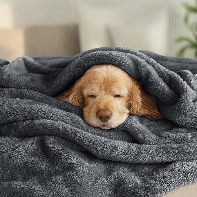 Exclusivo Mezcla Plush Fuzzy Fleece Bed Blanket Queen Size, Super Soft, Fluffy and Warm Blankets for Couch, Bed, All Season (Dark Grey, 90x90 inches)