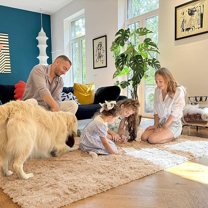OLANLY 5x7 Machine Washable Large Area Rugs for Living Room, Bedroom, Soft Fluffy Shaggy Bedside Rug, Indoor Floor Carpet for Kids Girls and Boys, Dorms, Nursery, Home Decor Aesthetic, Beige