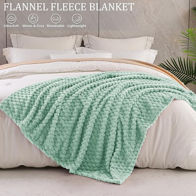 Exclusivo Mezcla Fleece Queen Blanket for Bed, Extra Large Fuzzy Sage Green Bed Blankets, Soft Cozy Plush Sofa Throws for All Seasons, 90x90 Inches