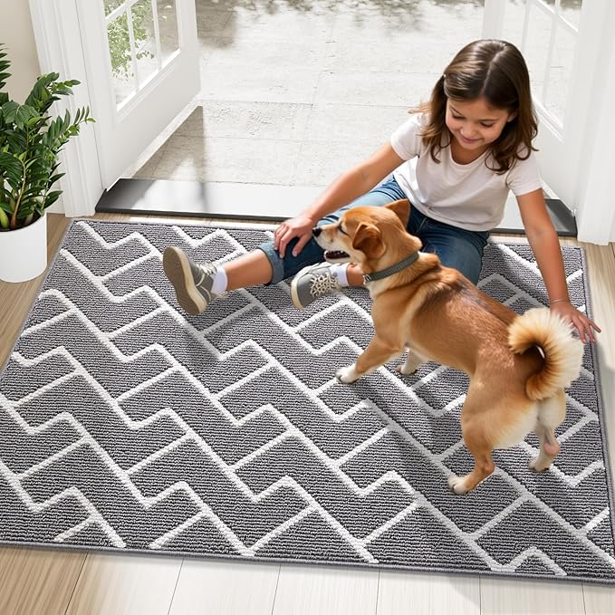 OLANLY Front Door Mat, Non-Slip Rubber Backing, Dirt Resistant and Absorbent, Washable, Easy to Clean Low-Profile Indoor Doormat for Back Door, Entryway, Inside Entrance, 70x23, Grey