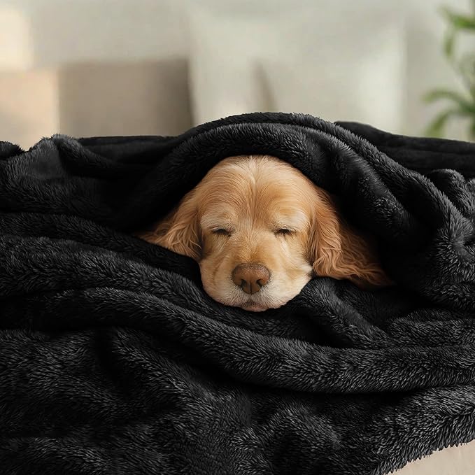 Exclusivo Mezcla Plush Fuzzy Fleece Bed Blanket Twin Size, Super Soft, Fluffy and Warm Blankets for Couch, Bed, All Season (Black, 90x66 inches)
