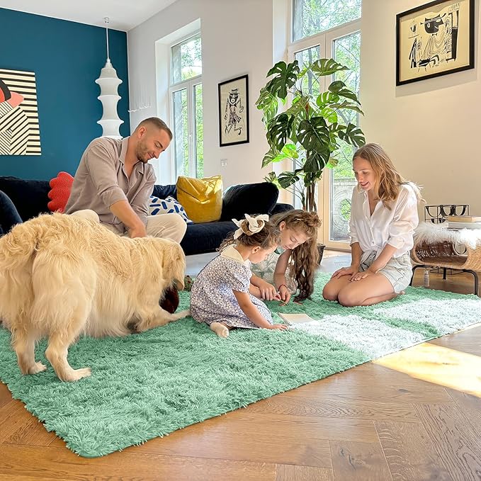 OLANLY 5x7 Machine Washable Large Area Rugs for Living Room, Bedroom, Soft Fluffy Shaggy Bedside Rug, Indoor Floor Carpet for Kids Girls and Boys, Dorms, Nursery, Home Decor Aesthetic, Mint Green