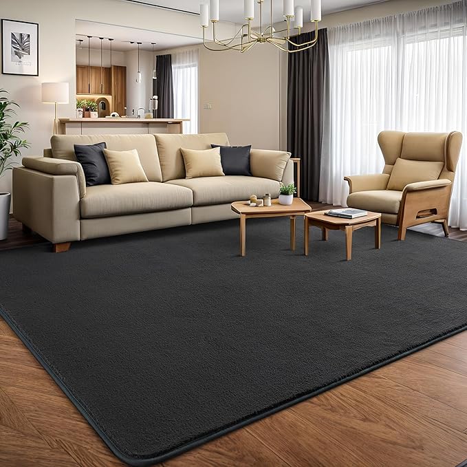 AROGAN Modern Shag Area Rug for Bedroom, 4x6 Feet Washable Rugs for Living Room, Indoor Floor Carpet, Plush Memory Foam Bedside Rugs for Kids Girls Teens Room Low Pile, Dark Grey