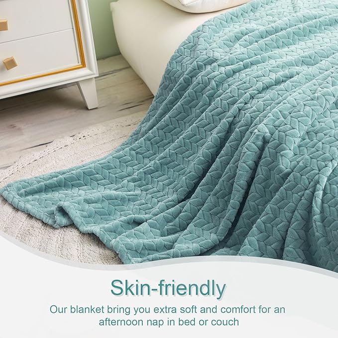 Exclusivo Mezcla Fleece Throw Blanket for Couch and Bed, 50x70 Inches Soft Cozy Jacquard Flannel Blankets, Lightweight Fuzzy Plush Warm Throws for Women, Celadon