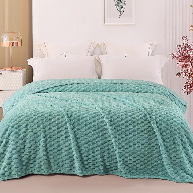 Exclusivo Mezcla Fleece Queen Blanket for Bed, Extra Large Fuzzy Celadon Bed Blankets, Soft Cozy Plush Sofa Throws for All Seasons, 90x90 Inches