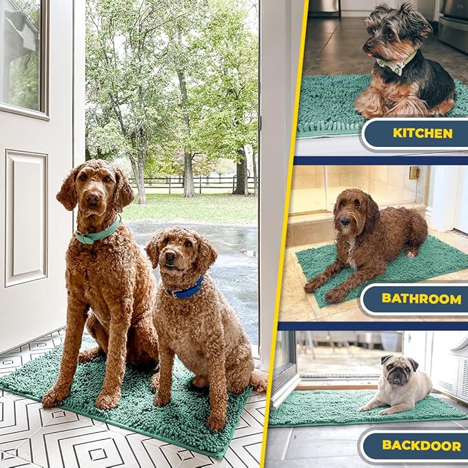 Muddy Mat® | Super Absorbent Door Mat Indoor, Microfiber Quick Dry Chenille Entryway Rug, Non-Slip Front Door Mat, Indoor Mats for Entryway, Machine Washable Pet Rug, Seafoam Green 28"x18"