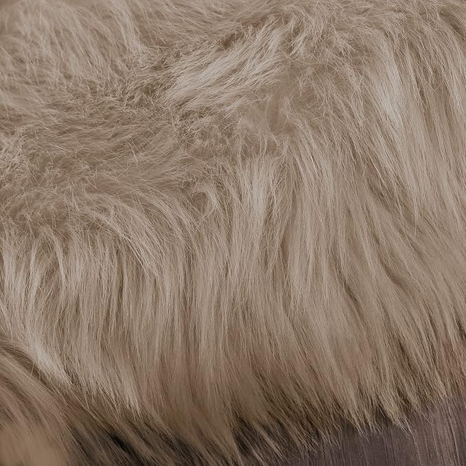 Latepis 2x3 Brown Beige Small Faux Fur Rug Fluffy Furry Rugs Throw Rug Washable Shag Plush Soft Rugs for Living Room Bedroom and Dorm