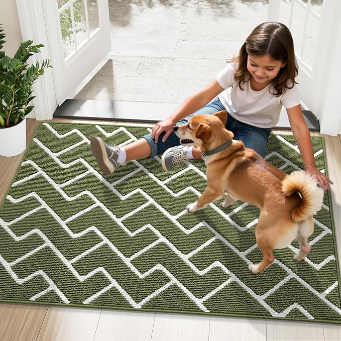 OLANLY Front Door Mat, Non-Slip Rubber Backing, Dirt Resistant and Absorbent, Washable, Easy to Clean Low-Profile Indoor Doormat for Back Door, Entryway, Inside Entrance, 36x24, Green