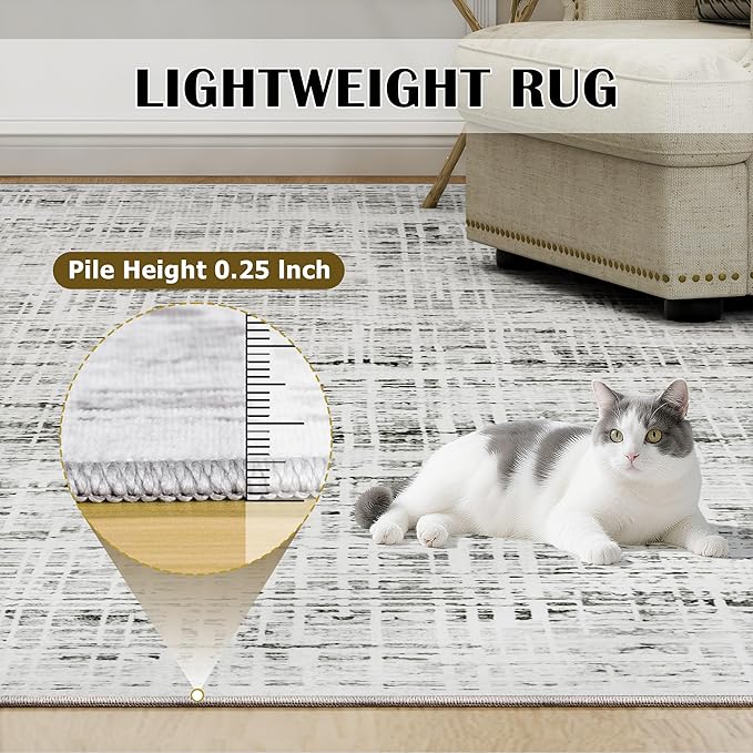 9x12 Area Rugs Washable Rug: Anti-Skid Abstract Modern Living Room Rug Soft Thin Carpets Indoor Floor Non-Shedding Carpet for Bedroom Dining Farmhouse Nursery Home Office (White Gray, 9'x12')