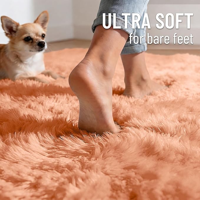 OLANLY 3x5 Machine Washable Small Bedside Rug, Soft Fluffy Shaggy Rugs for Living Room, Bedroom, Indoor Floor Carpet for Kids Girls and Boys, Preppy Dorms, Nursery, Home Decor Aesthetic, Muted Orange