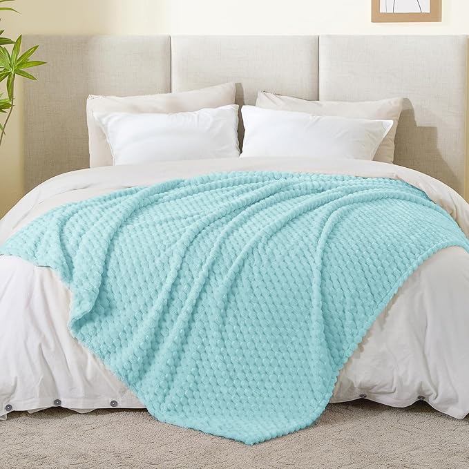 BEDELITE Fleece Blanket Twin for Bed Couch, 3D Jacquard Decorative Cloud Blue Throw Blanket, Soft and Cozy Warm Plush Fuzzy Blanket All Seasons Suitable, 60x80Inches