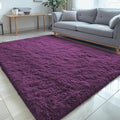 OLANLY 5x7 Machine Washable Large Area Rugs for Living Room, Bedroom, Soft Fluffy Shaggy Bedside Rug, Indoor Floor Carpet for Kids Girls and Boys, Dorms, Nursery, Home Decor Aesthetic, Dark Purple