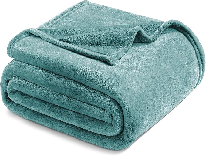 Exclusivo Mezcla Fleece Celadon Throw Blanket for Couch, Sofa, Super Soft and Warm Blankets, All Season, Cozy, Plush, Lightweight, 50x60 Inches