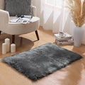 Ashler Faux Fur Rug - Fluffy Shaggy Area Rug, Ultra Soft 2 x 3 Feet Rectangle, Dark Grey Fuzzy Machine Washable Shag, Nursery Decor Throw for Bedroom, Living Room
