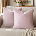 GIGIZAZA Decor Throw Couch Pillow Covers,Set of 2 Sweet Lilac Sofa Cushion Pillow Covers,Velvet Pillow Cases 24x24inch