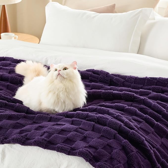 Bedsure GentleSoft Twin Blanket for Bed - Super Soft Cozy Blankets for Kids Girls, Cute Fuzzy Fleece Mother's Day Throws for Bedroom Couch, Purple, 60x80 Inches