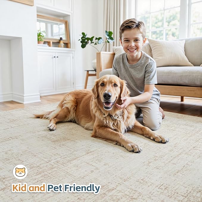 5x8 Area Rugs for Living Room Washable Rug: Anti-Skid Abstract Modern Living Room Rug Soft Thin Carpets Indoor Floor Non-Shedding Carpet for Bedroom Dining Farmhouse Nursery Beige White