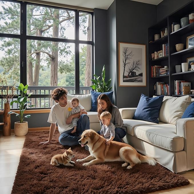 Small Rugs for Bedroom 2x3, Soft Area Rug for Living Room Dorm, Non Slip Shag Rugs for Girls Boys Bedroom, Soft Kids Carpet, Modern Home Decor Aesthetic(Coffee, 2 x 3)