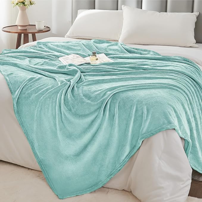 BEDELITE Fleece Blanket Twin Size Haze Blue Throw Blankets for Couch & Bed, Luxury Plush Cozy Fuzzy Blanket 60x80 inches, Super Soft Warm Lightweight Throw Blanket for Travel Camping