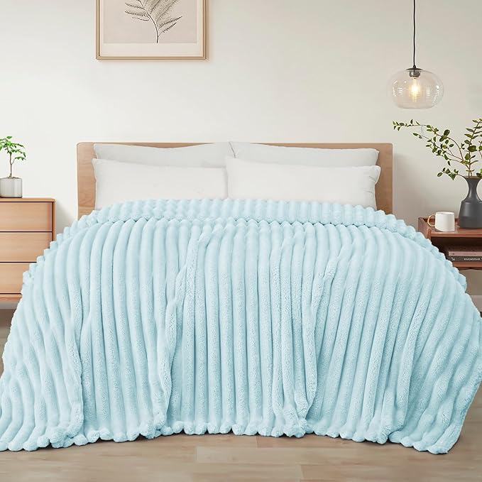 Exclusivo Mezcla Queen Size Flannel Fleece Blanket, Super Soft Striped Jacquard Bed Blanket, Lightweight Fuzzy Cozy for All Seasons, 90x90 Inches, Light Blue