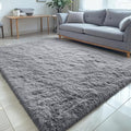 OLANLY 5x5 Area Rugs for Living Room Bedroom, Machine Washable Soft Fluffy Shaggy Bedside Rug, Indoor Floor Carpet for Kids Girls and Boys, Dorms, Nursery Rooms, Home Decor Aesthetic, Light Grey