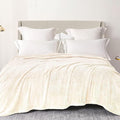 Exclusivo Mezcla Plush Fuzzy Fleece Bed Blanket Queen Size, Super Soft, Fluffy and Warm Blankets for Couch, Bed, All Season (Ivory, 90x90 inches)