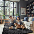 Black Rug for Bedroom, Small Area Rugs 3x5, Non-Shedding Indoor Shaggy Rug for Living Room Home Decor(3 x 5, Black)