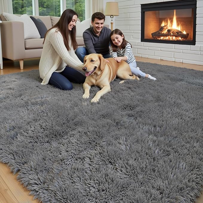 Rugs for Bedroom 4x6, Alfombras para Salas Shag Large Plush Soft Area Rug, Shaggy Carpets for Livingroom, Kids Boys Girls Home Decor Aesthetic(Dark Grey, 4 x 6)