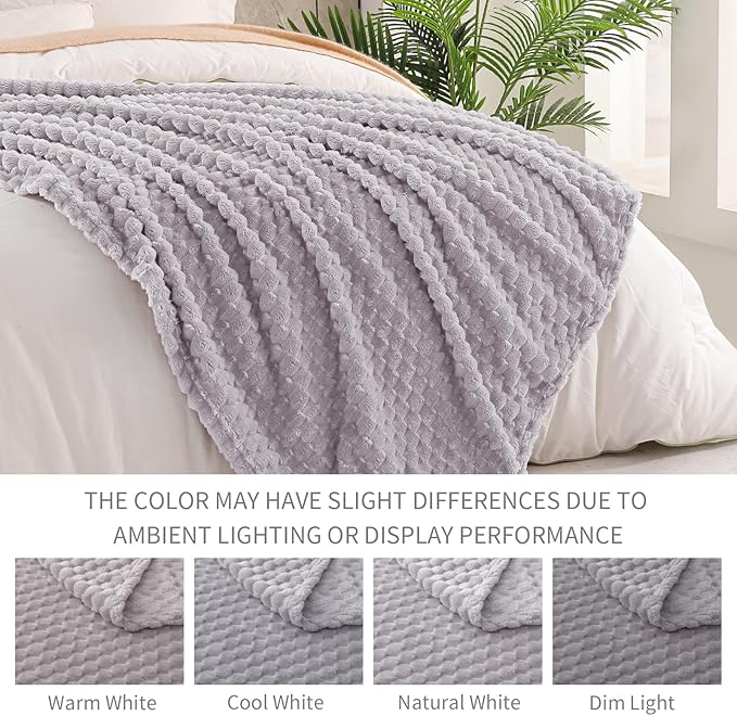 Exclusivo Mezcla Fleece Twin Blanket for Bed, Extra Large Fuzzy Light Grey Bed Blankets, Soft Cozy Plush Sofa Throws for All Seasons, 60x80 Inches