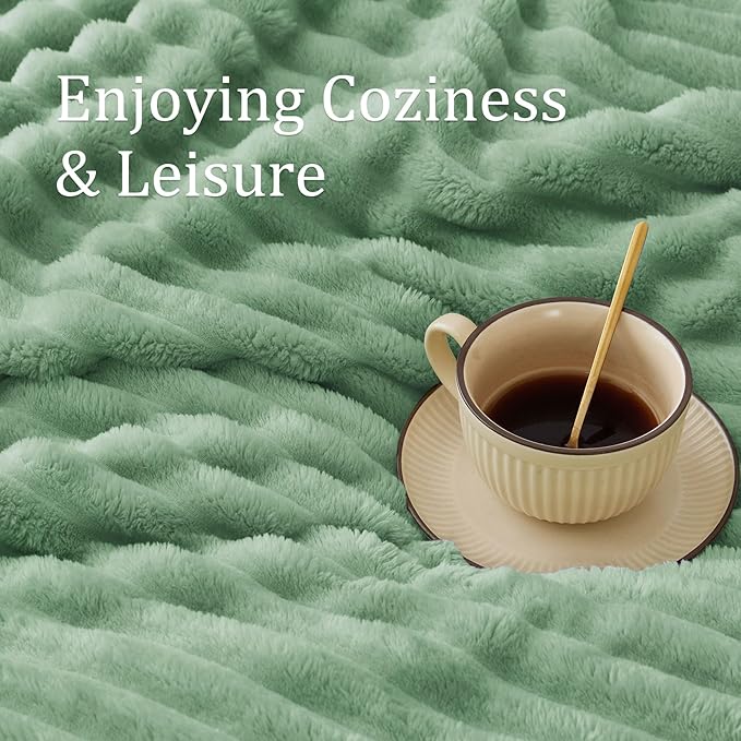 BEDELITE Twin Blanket for Couch & Bed, 300GSM Soft & Warm Fleece Blanket, Decorative and Giftable Striped Green Blankets for Women, Men, 60"x80"