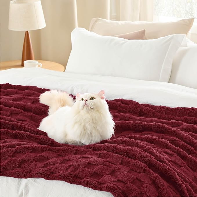 Bedsure GentleSoft Twin Blanket for Bed Red - Super Soft Cozy Mother's Day Blankets for Kids Girls, Cute Fuzzy Fleece Throws for Bedroom Couch, 60x80 Inches