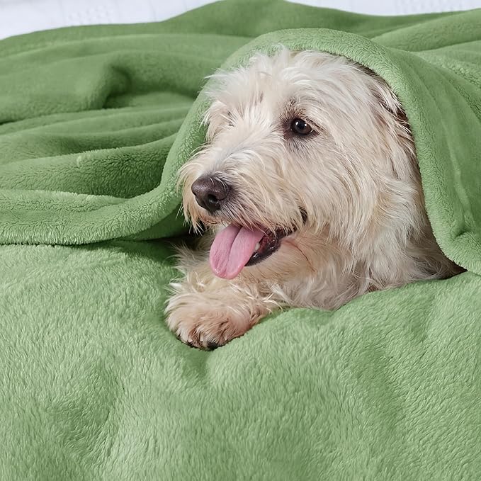 Bedsure GentleSoft Fleece Bed Blankets Full Size Green - Soft Lightweight Plush Fuzzy Cozy Luxury Blanket Microfiber, Emerald, 84x90 inches