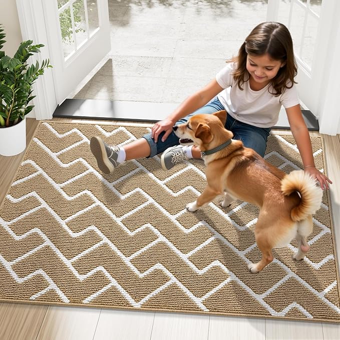 OLANLY Front Door Mat, Non-Slip Rubber Backing, Dirt Resistant and Absorbent, Washable, Easy to Clean Low-Profile Indoor Doormat for Back Door, Entryway, Inside Entrance, 36x24, Beige