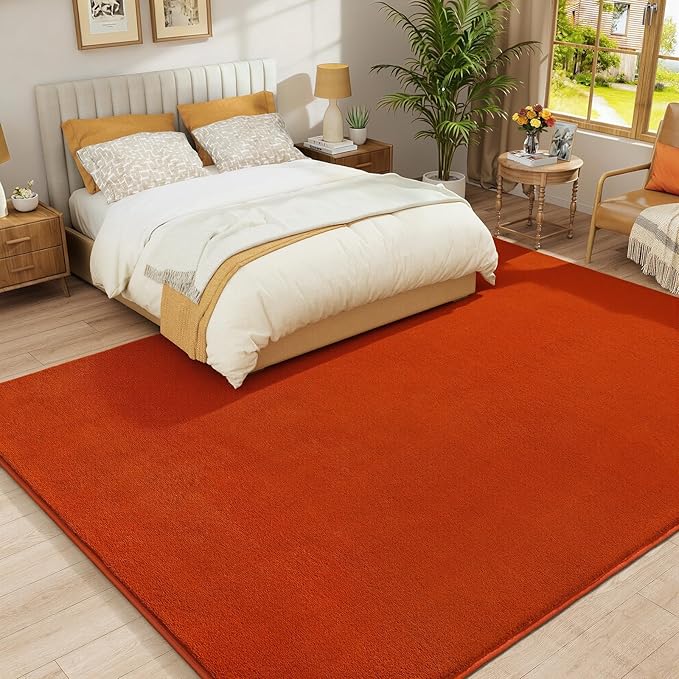 Amearea Large Modern Area Rugs for Bedroom Living Room, 5x8 Feet Orange Thickened Memory Foam Rug, Fluffy Indoor Washable Rugs Non Slip Minimalist Carpet for Boys Girls Dorm Nursery Room Decor