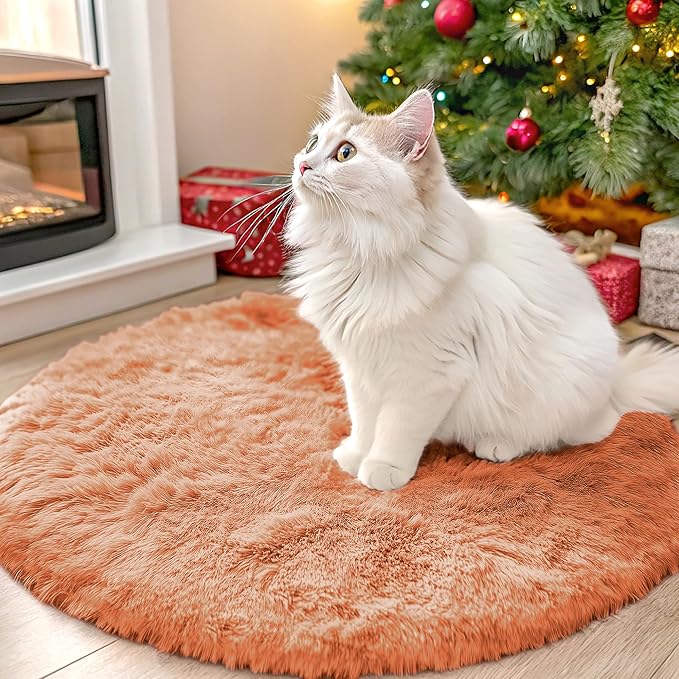 OLANLY Muted Orange Round Rugs for Bedroom - Machine Washable, 2 ft Circle Area Rugs for Living Room, Soft and Fluffy Shaggy Carpet for Teen Girl and Boys, Nursery Rooms, Dorms, Home Decor Aesthetic
