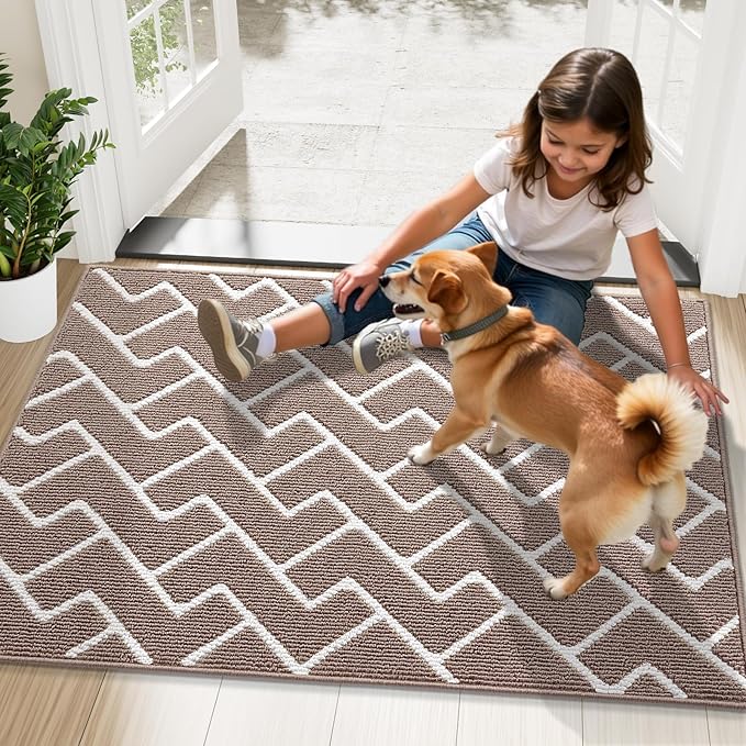 OLANLY Front Door Mat, Non-Slip Rubber Backing, Dirt Resistant and Absorbent, Washable, Easy to Clean Low-Profile Indoor Doormat for Back Door, Entryway, Inside Entrance, 48x32, Brown