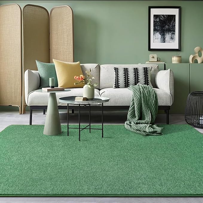 AROGAN Washable 5×7 Living Room Rug, Modern Area Rugs with Soft Memory Foam for Bedroom, Minimalist Non-Slip Indoor Floor Carpet for Dining Room Office Kids Playroom Decor, Sage Green