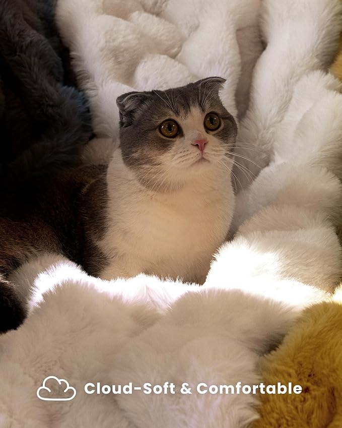 Ultra Soft Cozy Faux Fur Throw Blanket, Fuzzy Plush Thick Bubble Blanket, Luxury Fluffy Blanket for Couch, Sofa, Bedroom, and Living Room, 50x60 Inches, Cream White