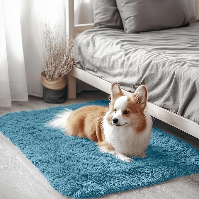 OLANLY 2x3 Machine Washable Small Bedside Rug, Soft Fluffy Shaggy Entryway Throw Rugs for Bedroom, Living Room, Indoor Floor Carpet for Kids Girls and Boys, Home Decor Aesthetic, Slate Blue