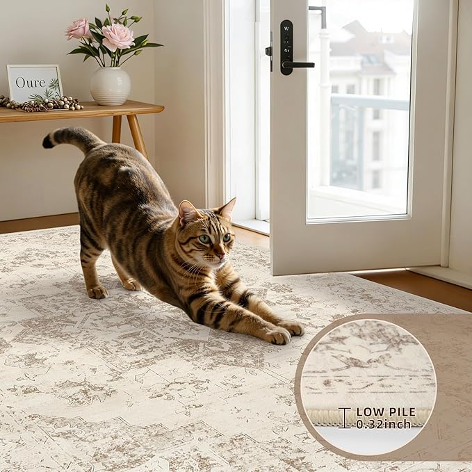5x7 Area Rugs for Living Room: Vintage Boho Neutral Washable Rug Indoor Soft Large Area Rug Carpet for Bedroom Nursery Farmhouse Dining Room Office Floor Non-Slip Low Pile Under Table Rug Beige/Ivory