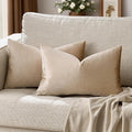 GIGIZAZA Velvet Taupe Decorative Throw Pillow Covers Couch Pillow Lumbar Cushion Cover 12x20 Pack of 2