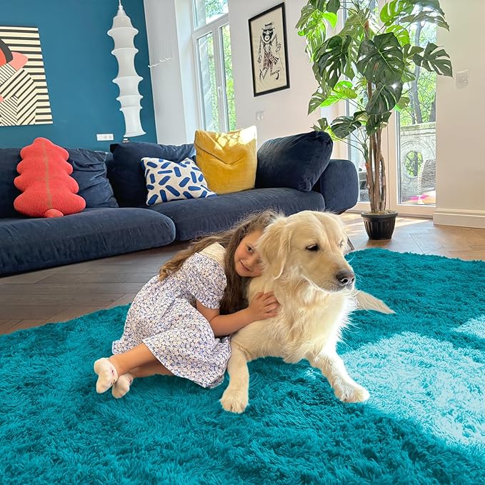 OLANLY 5x7 Machine Washable Large Area Rugs for Living Room, Bedroom, Soft Fluffy Shaggy Bedside Rug, Indoor Floor Carpet for Kids Girls and Boys, Dorms, Nursery, Home Decor Aesthetic, Teal